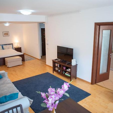 Blue Forest Studio Sinaia Ngoại thất bức ảnh