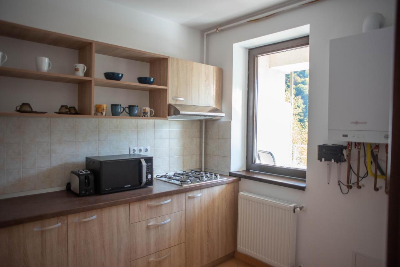 Blue Forest Studio Sinaia Ngoại thất bức ảnh