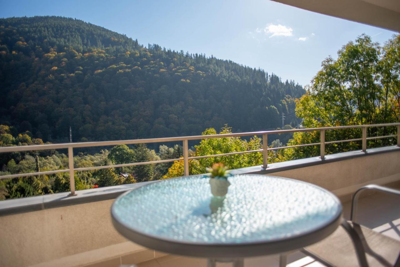 Blue Forest Studio Sinaia Ngoại thất bức ảnh