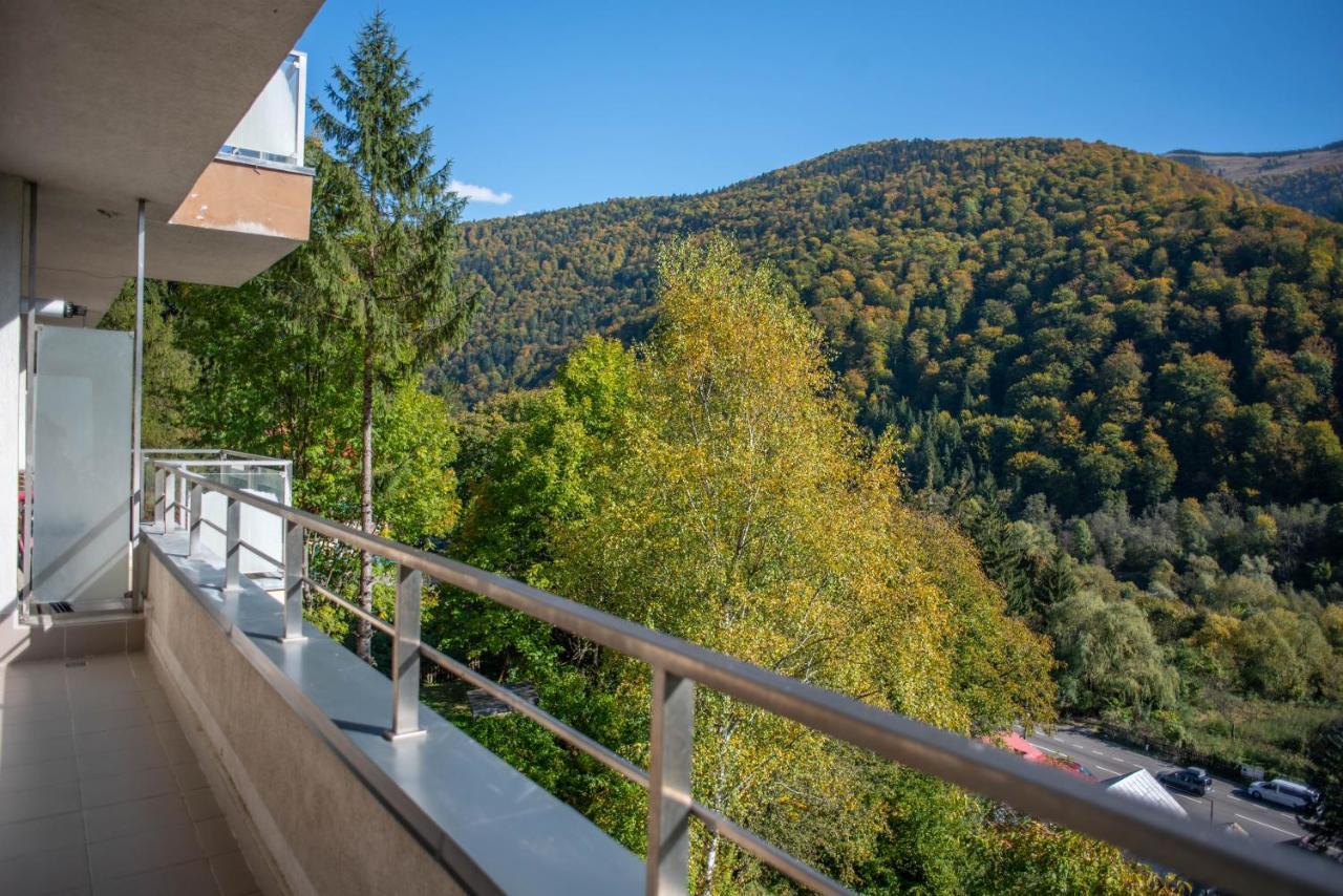Blue Forest Studio Sinaia Ngoại thất bức ảnh