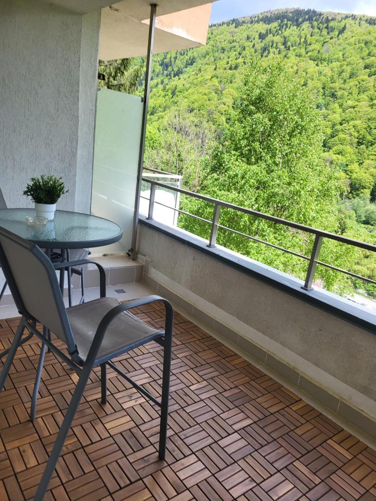 Blue Forest Studio Sinaia Ngoại thất bức ảnh